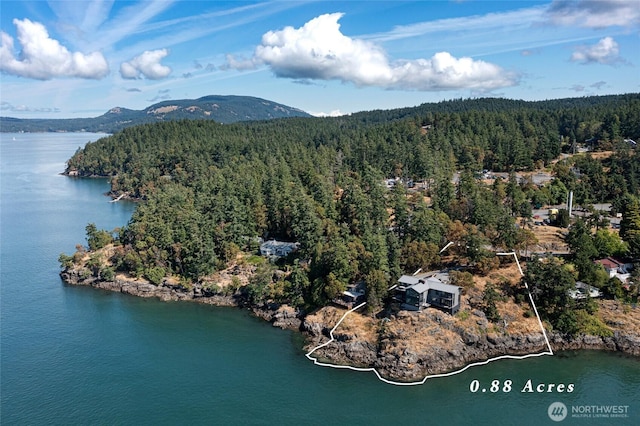 8256 Orcas Rd, Orcas Island, WA 98245 - photo 17