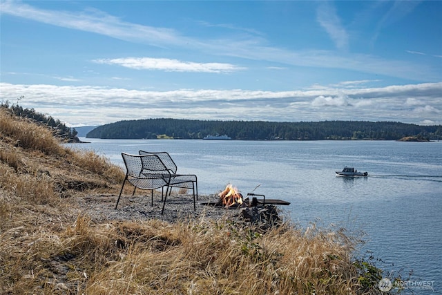 8256 Orcas Rd, Orcas Island, WA 98245 - photo 33