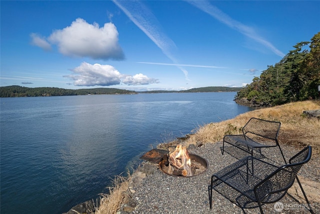 8256 Orcas Rd, Orcas Island, WA 98245 - photo 19