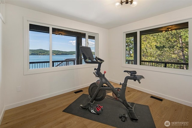 8256 Orcas Rd, Orcas Island, WA 98245 - photo 29