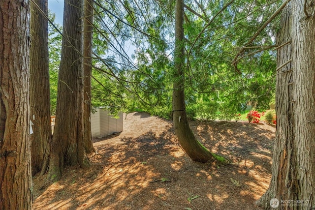 21888 SE 5th Pl, Sammamish, WA 98074 - photo 37