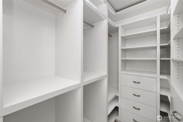 7526 148th Pl SE, Snohomish, WA 98296 - view of spacious closet
