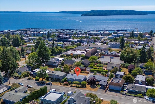 22223 10th Ave S, Des Moines, WA 98198 - bird's eye view of a large body of water