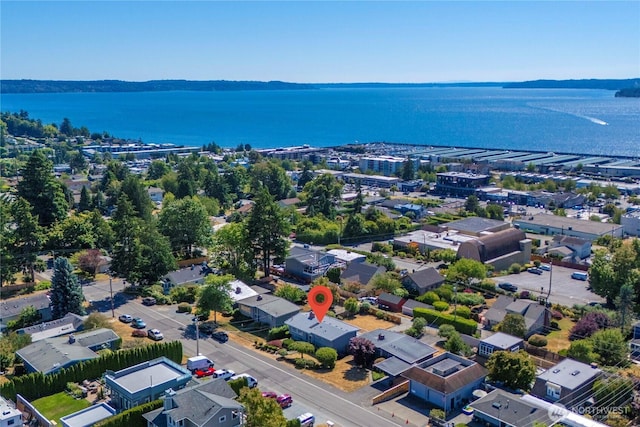 22223 10th Ave S, Des Moines, WA 98198 - bird's eye view of a large body of water