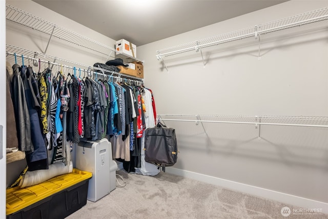 18418 134th St E, Bonney Lake, WA 98391 - photo 27