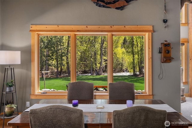 639 A Twisp River Rd, Twisp, WA 98856 - view of dining room