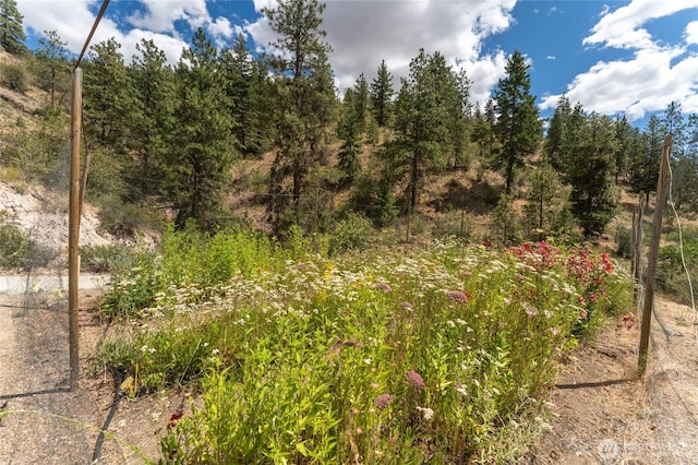 1020 Cagle Gulch Rd, Chelan, WA 98816 - photo 36