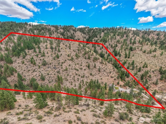 1020 Cagle Gulch Rd, Chelan, WA 98816 - photo 38
