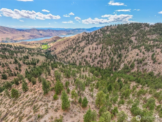 1020 Cagle Gulch Rd, Chelan, WA 98816 - photo 37