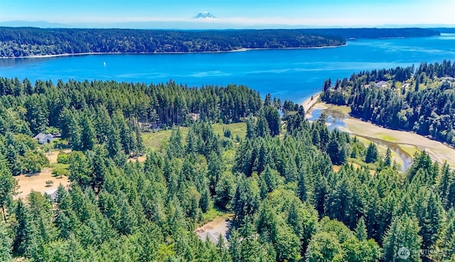 8019 SE Culver St, Olalla, WA 98359 - photo 2