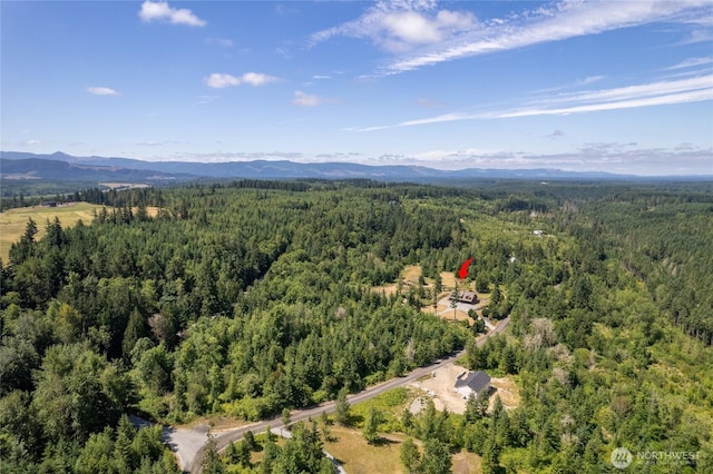 3120 403rd St E, Eatonville, WA 98328 - photo 36