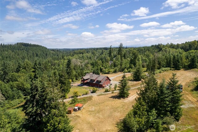 3120 403rd St E, Eatonville, WA 98328 - photo 38