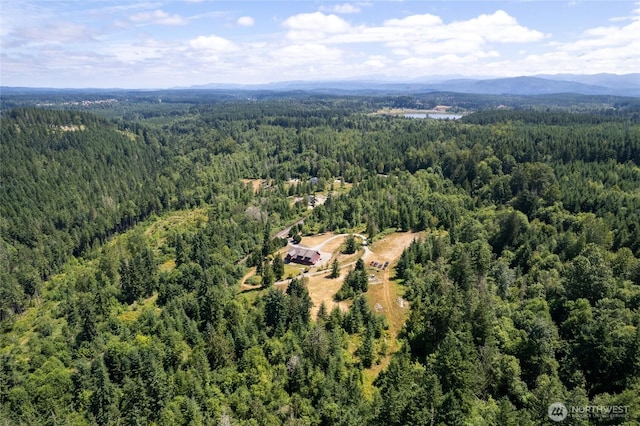 3120 403rd St E, Eatonville, WA 98328 - photo 40