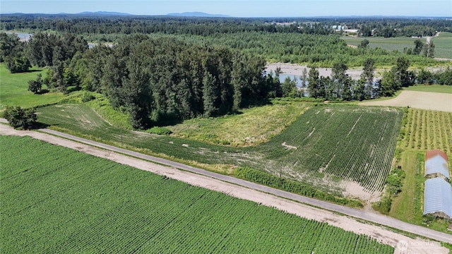 0 Massey Rd, Everson, WA 98247
