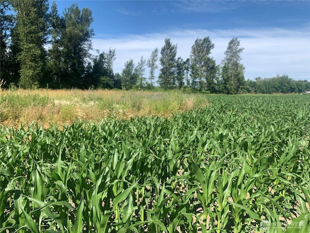 0 Massey Rd, Everson, WA 98247