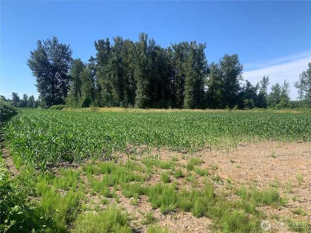 0 Massey Rd, Everson, WA 98247