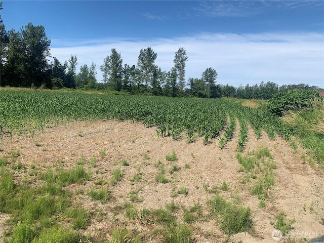 0 Massey Rd, Everson, WA 98247