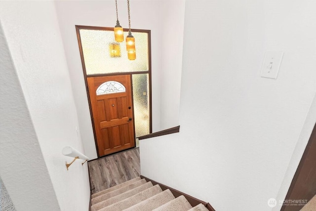 6114 47th Street Ct W, University Place, WA 98466 - stairs featuring wood finished floors