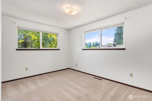 6114 47th Street Ct W, University Place, WA 98466 - spare room with healthy amount of natural light, a textured ceiling, and carpet flooring