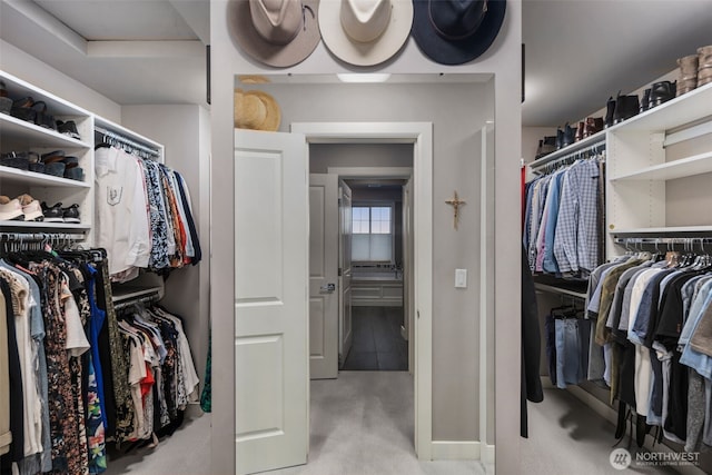 6511 108th Ave NE Unit 3, Kirkland, WA 98033 - walk in closet featuring carpet floors