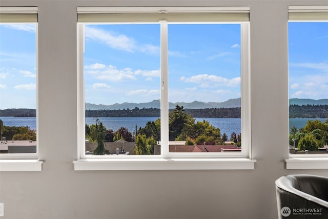 6511 108th Ave NE Unit 3, Kirkland, WA 98033 - water view with a mountain backdrop