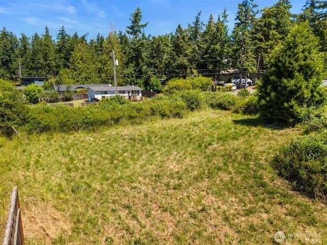 1410 Olympic Ave, Port Townsend, WA 98368 - photo 32