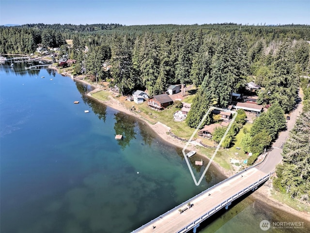 100 E Treasure Island Dr, Allyn, WA 98524 - photo 10
