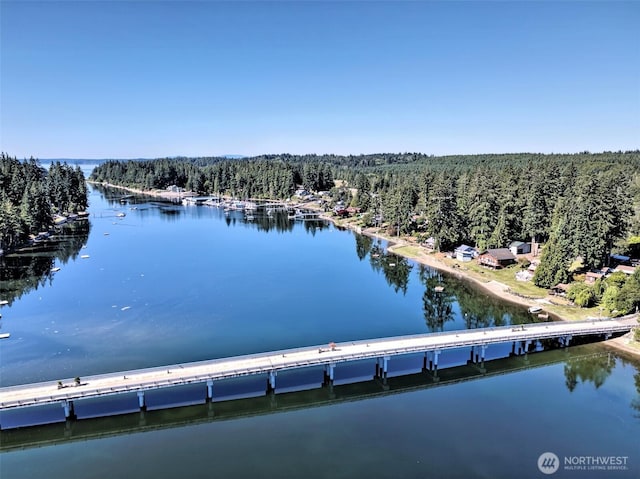 100 E Treasure Island Dr, Allyn, WA 98524 - photo 3
