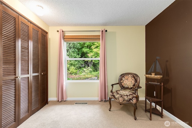 24812 12th Ave S, Des Moines, WA 98198 - sitting room with carpet floors and a textured ceiling