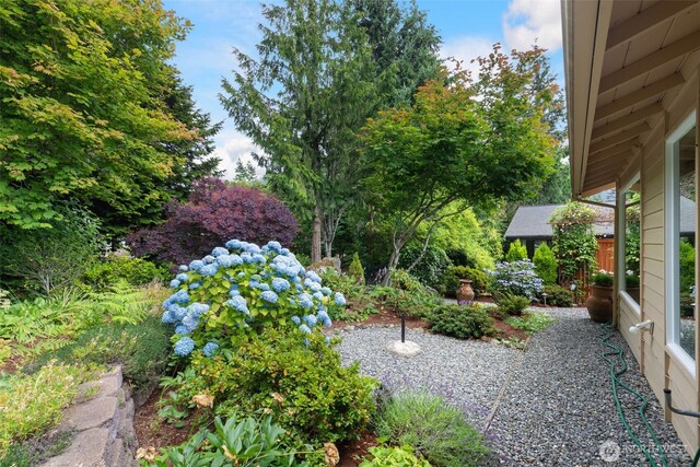 24812 12th Ave S, Des Moines, WA 98198 - view of yard