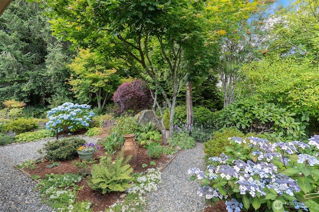 24812 12th Ave S, Des Moines, WA 98198 - view of yard