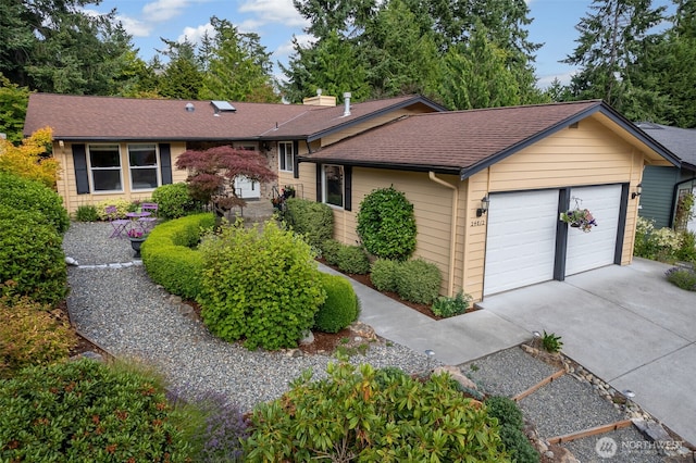 24812 12th Ave S, Des Moines, WA 98198 - view of front of property with driveway and roof with shingles