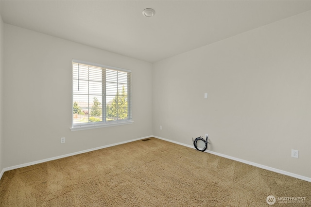 13428 169th St Ct E, Puyallup, WA 98374 - photo 28