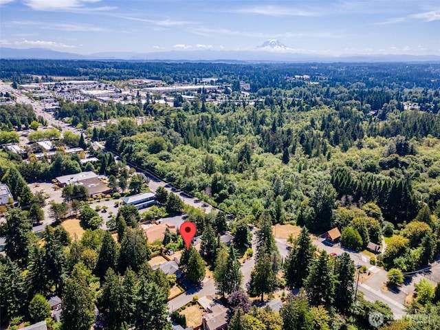 34716 4th Pl S, Federal Way, WA 98003 - drone / aerial view of a heavily wooded area