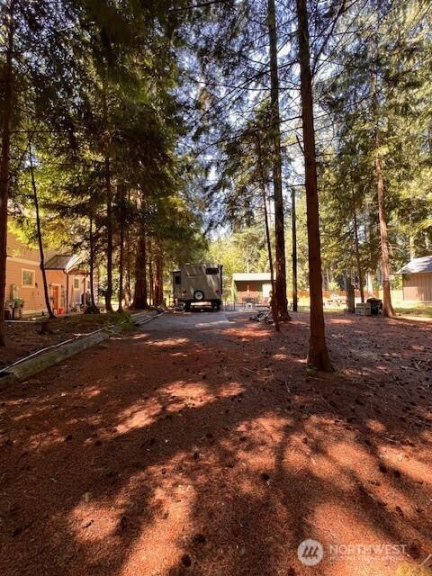17707 N Beachside Dr SE, Yelm, WA 98597 - photo 11