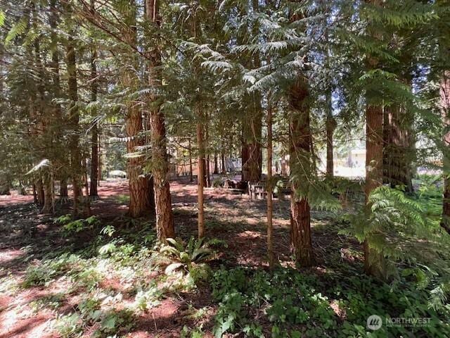 17707 N Beachside Dr SE, Yelm, WA 98597 - photo 14