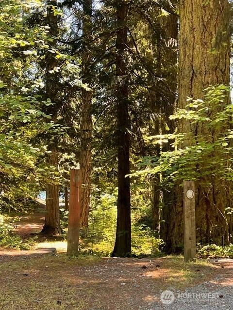 17707 N Beachside Dr SE, Yelm, WA 98597 - photo 15