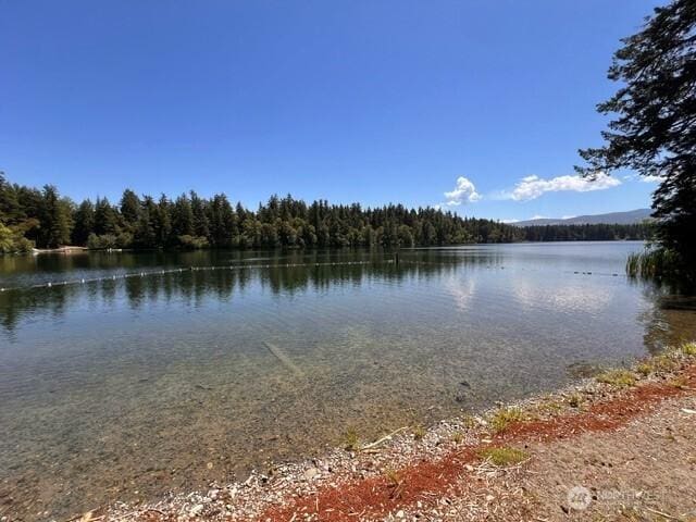 17707 N Beachside Dr SE, Yelm, WA 98597 - photo 18
