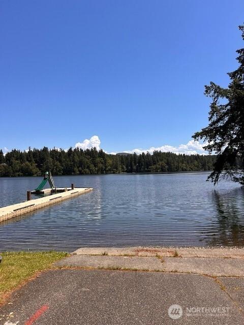 17707 N Beachside Dr SE, Yelm, WA 98597 - photo 23