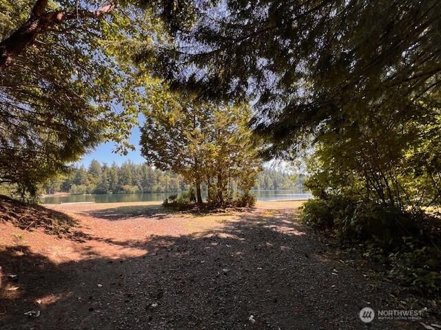 17707 N Beachside Dr SE, Yelm, WA 98597 - photo 25