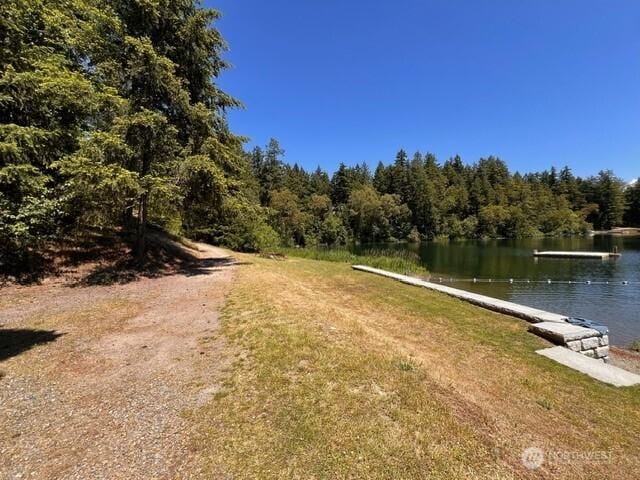 17707 N Beachside Dr SE, Yelm, WA 98597 - photo 37