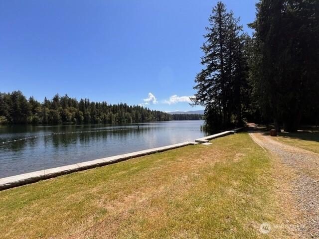 17707 N Beachside Dr SE, Yelm, WA 98597 - photo 38