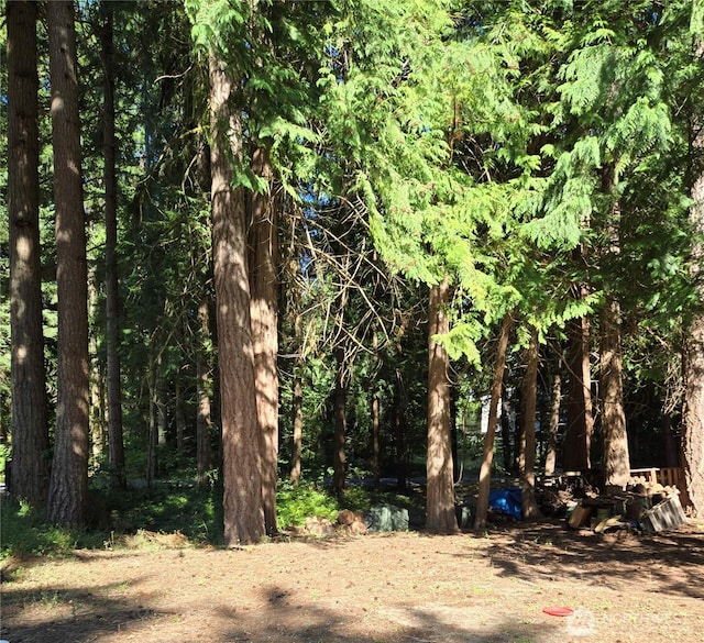 17707 N Beachside Dr SE, Yelm, WA 98597 - photo 13