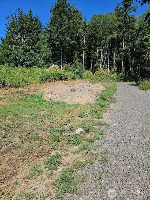 37530 Olympic View Dr NE, Hansville, WA 98340 - photo 3