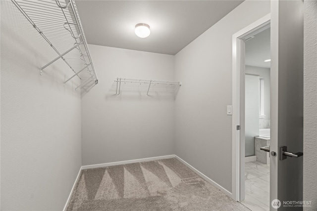 1003 75th Dr SE, Lake Stevens, WA 98258 - photo 24