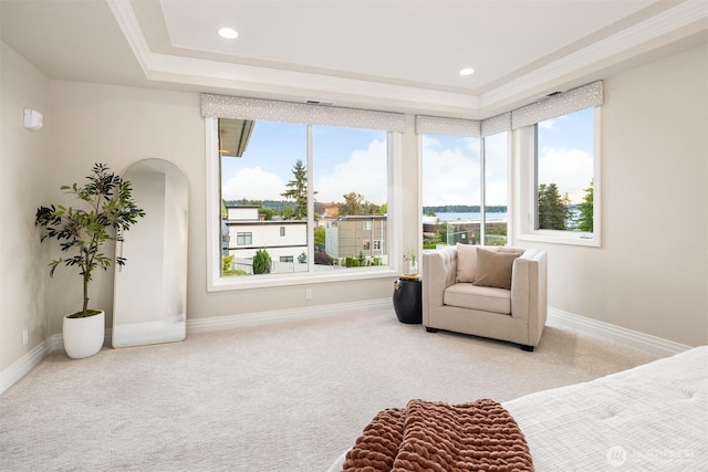 6424 Lake Washington Blvd NE Unit 34, Kirkland, WA 98033 - bedroom with carpet floors, multiple windows, a tray ceiling, ornamental molding, and recessed lighting