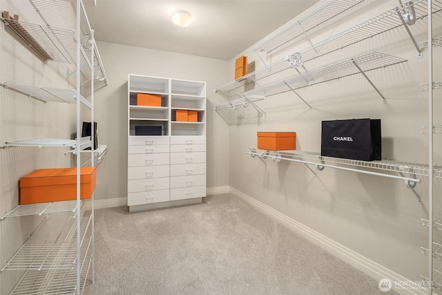6424 Lake Washington Blvd NE Unit 34, Kirkland, WA 98033 - spacious closet with carpet floors