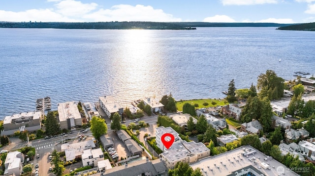 6424 Lake Washington Blvd NE Unit 34, Kirkland, WA 98033 - view of property location featuring a large body of water and nearby suburban area