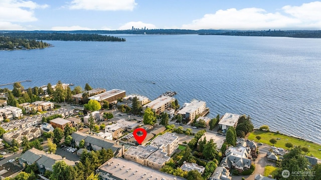 6424 Lake Washington Blvd NE Unit 34, Kirkland, WA 98033 - bird's eye view of a nearby body of water