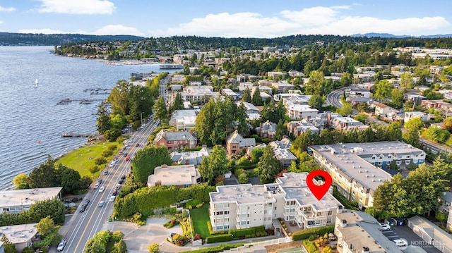 6424 Lake Washington Blvd NE Unit 34, Kirkland, WA 98033 - bird's eye view of a large body of water